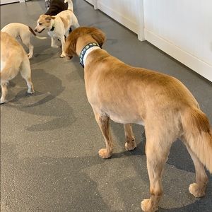 Meet your Posher, Breanna